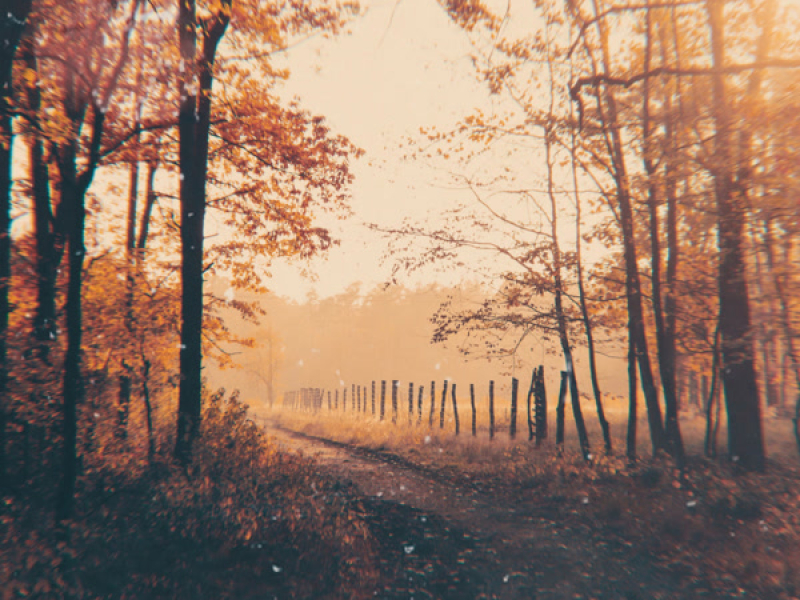 Anything Endless Is Wonderous (Single)