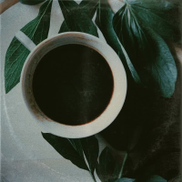 Morning Routine (Single)