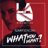 What You Want (Single)