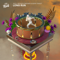 Long Run (Single)