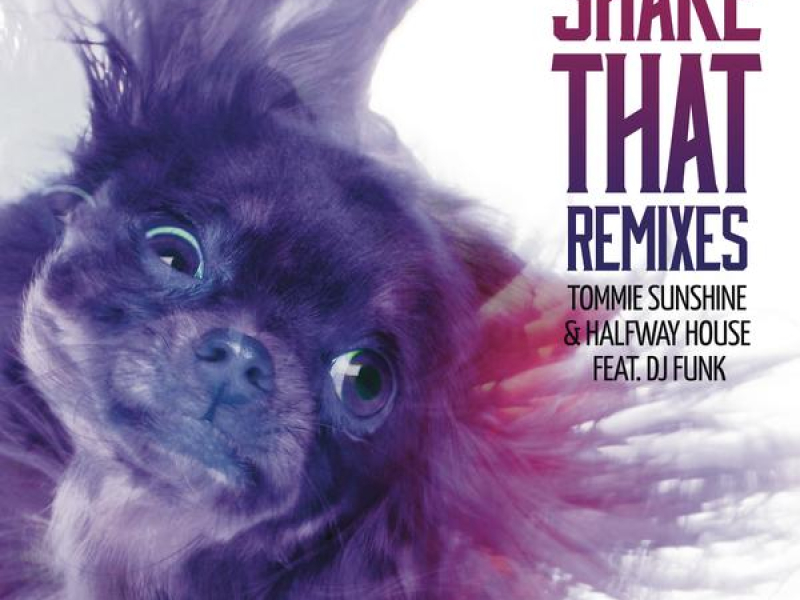 Shake That (Remixes)