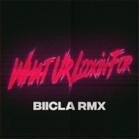 What Ur Lookin' For (Biicla Remix) (Single)