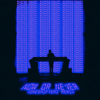 Now Or Never (Toneshifterz Remix) (Single)