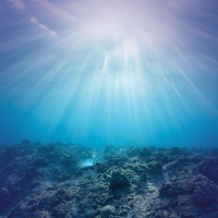 Underwater White Noise and Deep Sea Relaxation Sounds (Single)