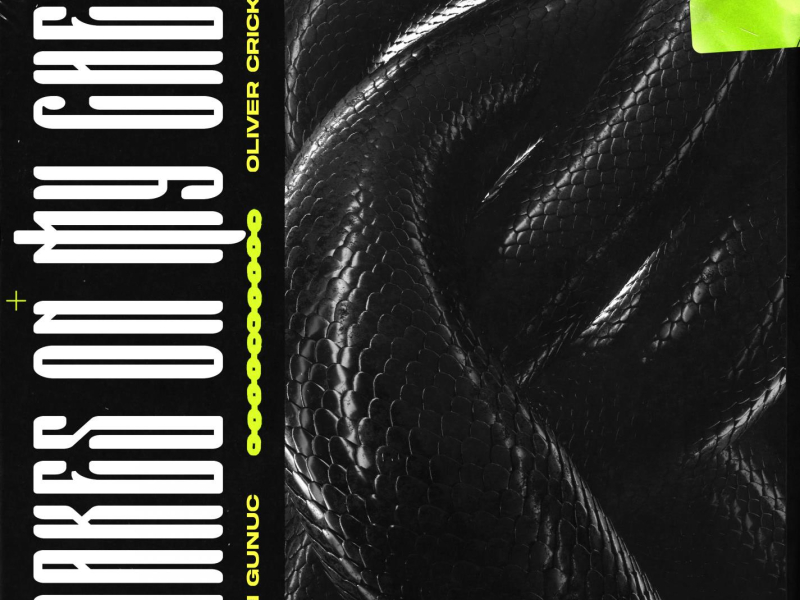 Snakes On My Chest (Single)