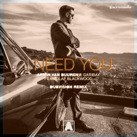 I Need You (DubVision Remix) (Single)