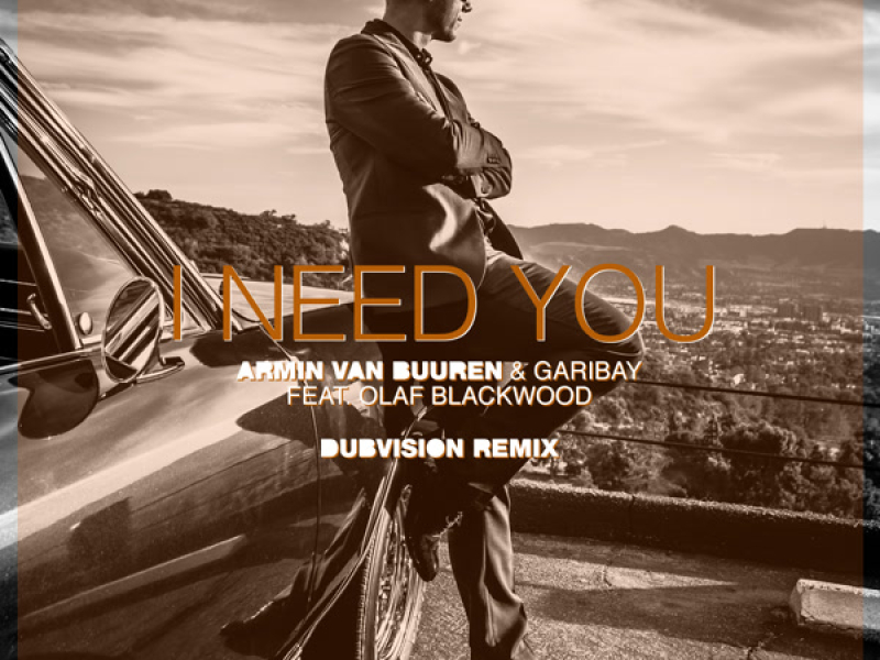 I Need You (DubVision Remix) (Single)