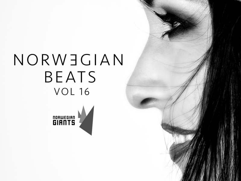 Norwegian Beats, Vol. 16