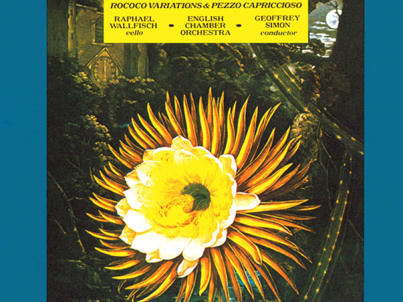 Tchaikovsky: Music for Cello & Orchestra