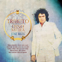 Tributo a Dino Meira