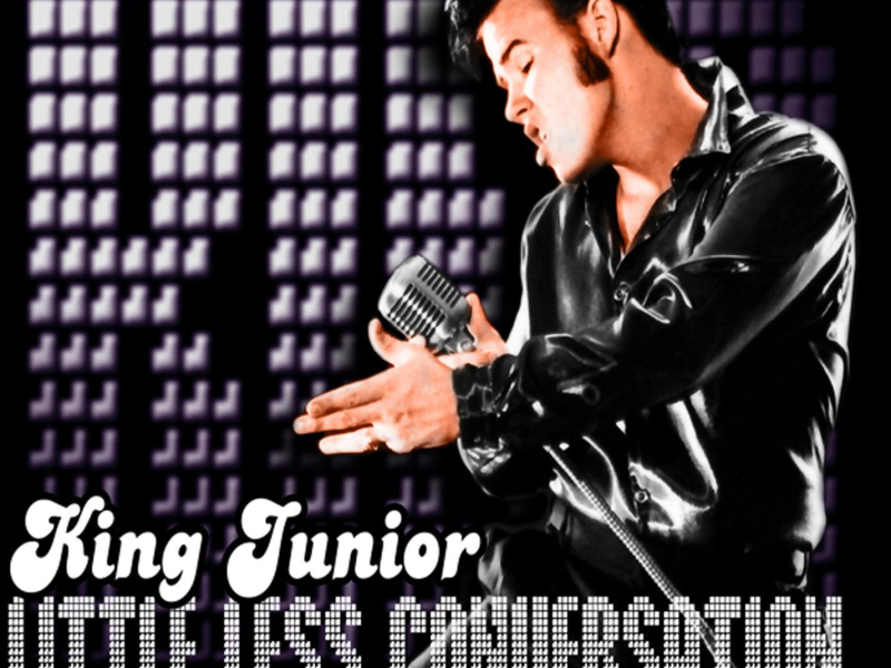 A Little Less Conversation (A Tribute to the King - Elvis Presley) [Remix] (XL-VIS Junkie Rud-Dee Edit) (Single)