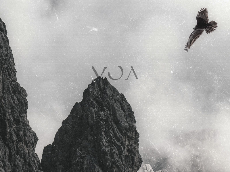 Voa (Single)