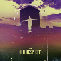 Sigo Despierto (Single)