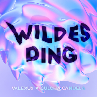 WILDES DING (Single)