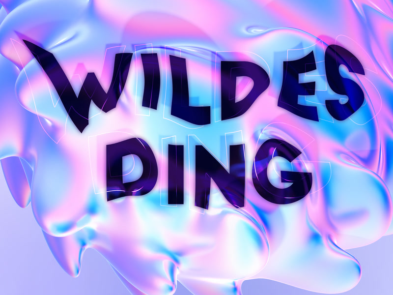 WILDES DING (Single)