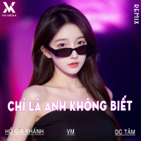 Chỉ Là Anh Không Biết (Remix) (Single)