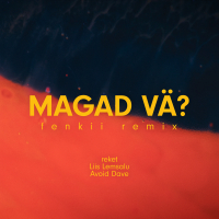 Magad vä? (fenkii remix)