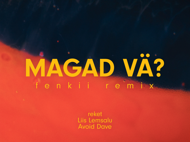 Magad vä? (fenkii remix)