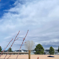 Everybody's dead! (Virtual Riot Version) (Single)