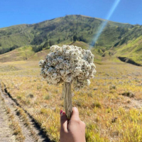 Before the Water (Single)