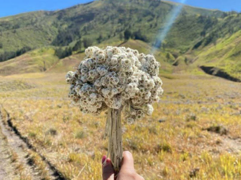 Before the Water (Single)