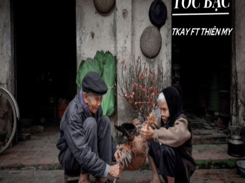 TÓC BẠC (Single)