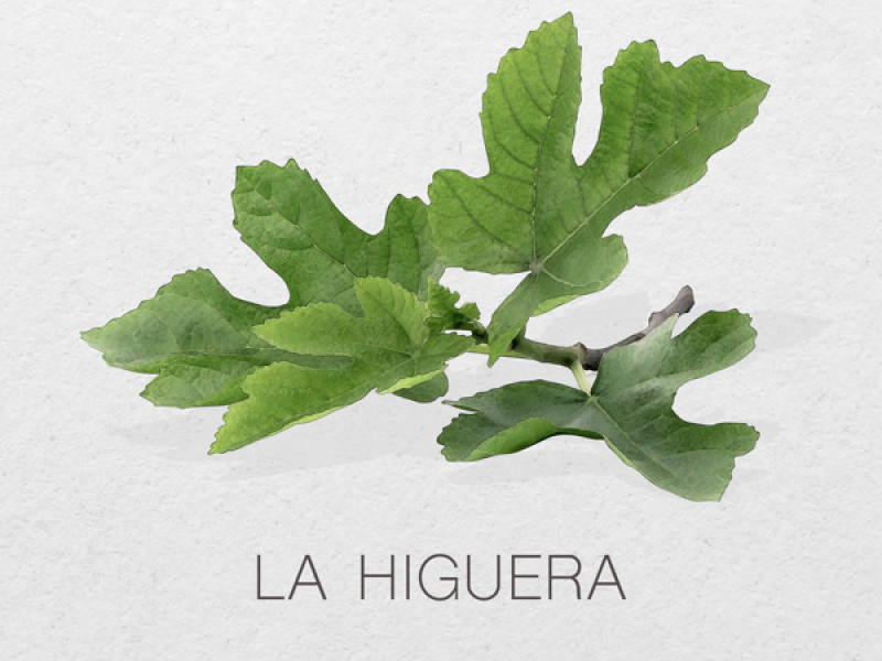 La Higuera (Single)