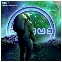 Space Gun / Crowd Shocka VIP (Single)