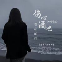 伤心酒吧伤心的雨 (对唱版) (Single)