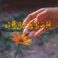 好想逃出思念的网 (对唱版) (Single)