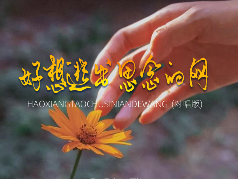 好想逃出思念的网 (对唱版) (Single)