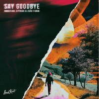 Say Goodbye (Single)