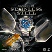 Stainless Steel (Single)