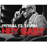 Hey Baby (Drop It to the Floor) (Single)
