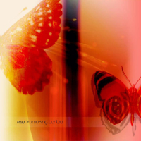 Smoking Control (EP)