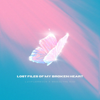 lost files of my broken heart (Single)