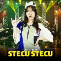 Stecu Stecu (Single)