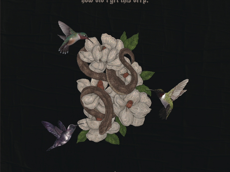 How Did I Get This Deep?