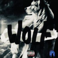 WOLF BOYZ (Single)