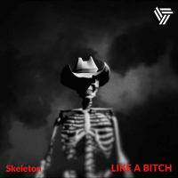 Like A Bitch (Single)