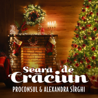 Seară de Crăciun (Single)