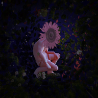 Shape of Love (Single)