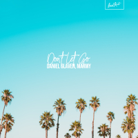 Don't Let Go (Single)