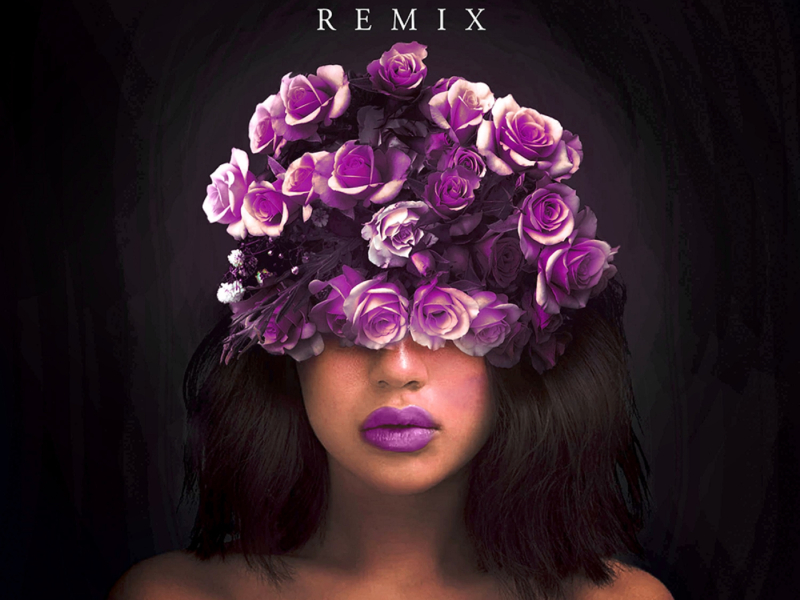 Flowers (Blackstripe Remix) (Single)