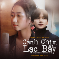 Cánh Chim Lạc Bầy (Chạnh Lòng Thương Cô 3) (Single)