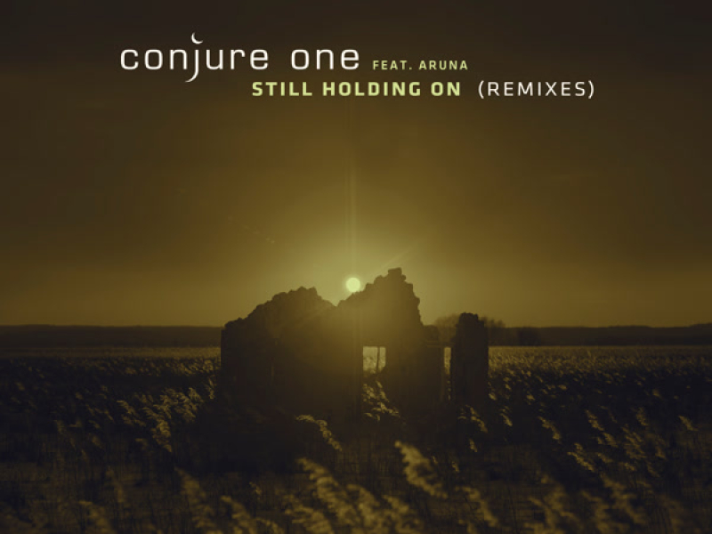 Still Holding On (Remixes) (Single)