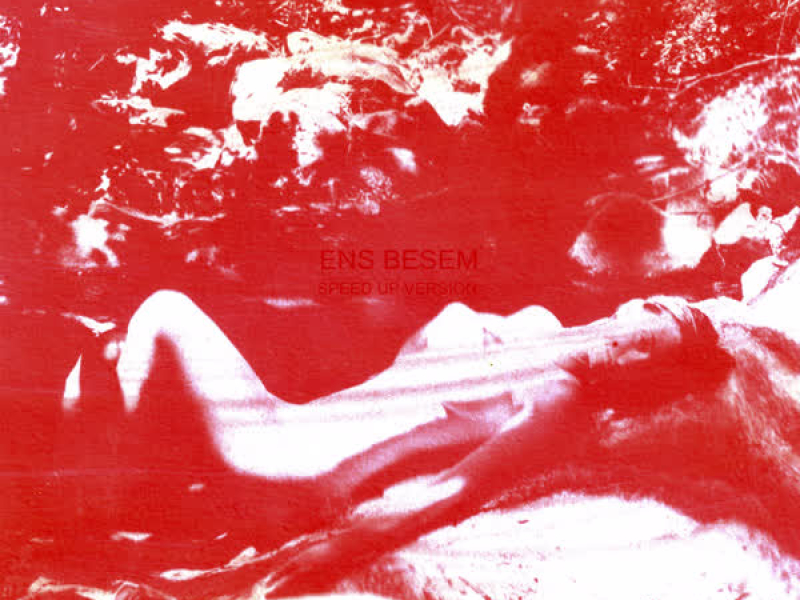 ENS BESEM (Speed Up Version) (Single)