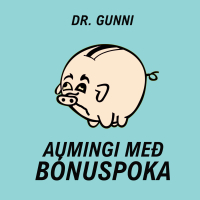 Aumingi með Bónuspoka (Single)