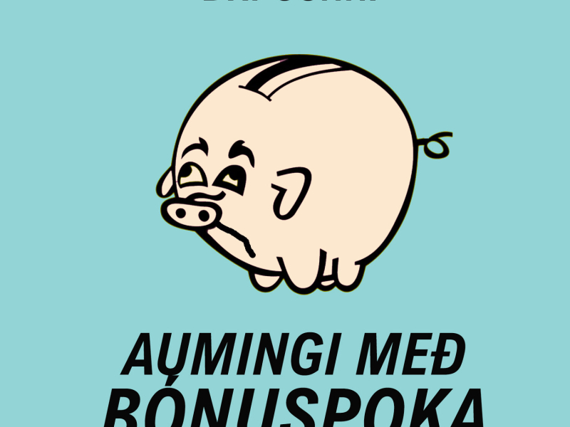 Aumingi með Bónuspoka (Single)