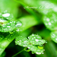 Morning rain (Single)